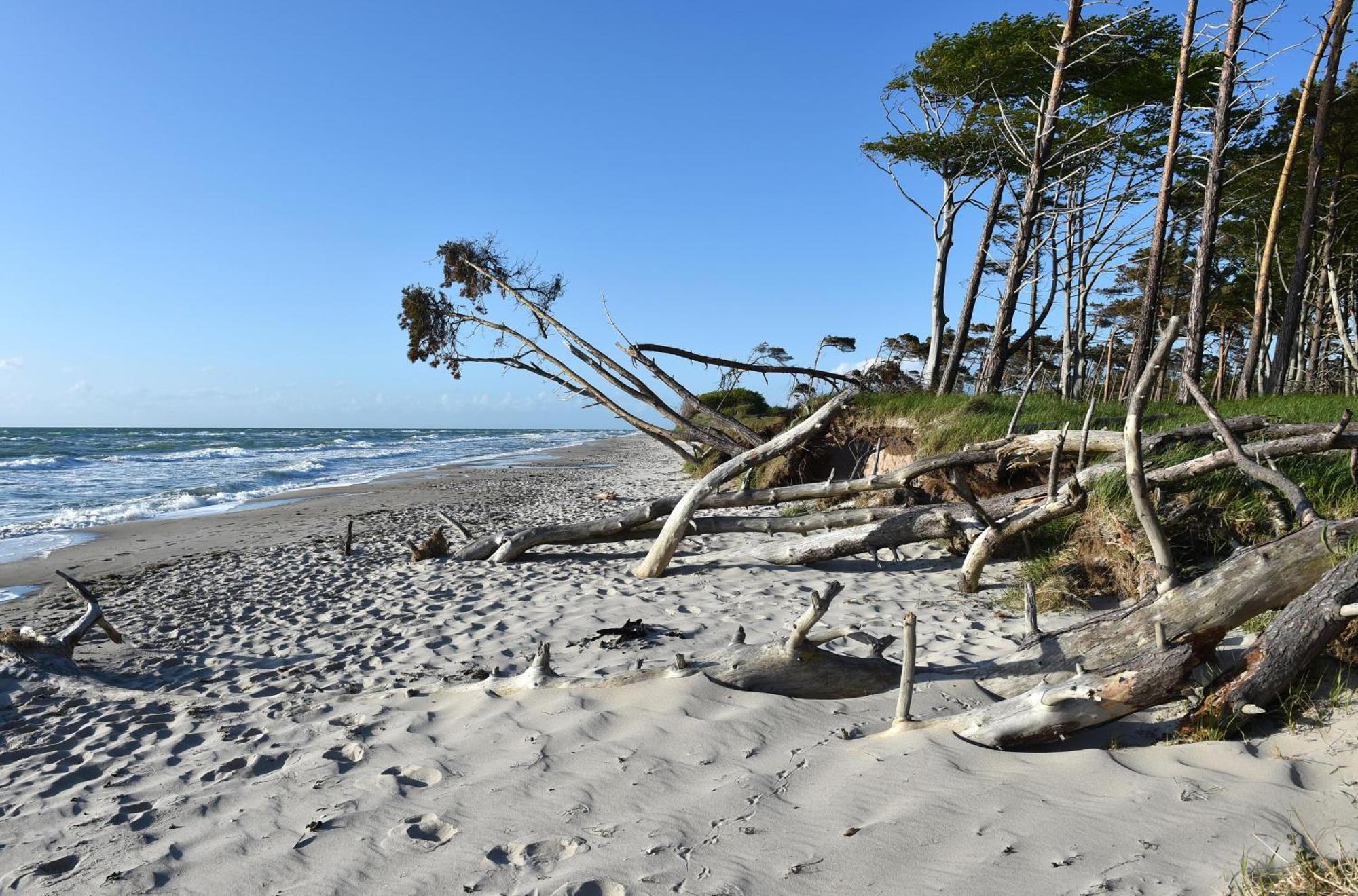 Strand Zingst Luaran gambar