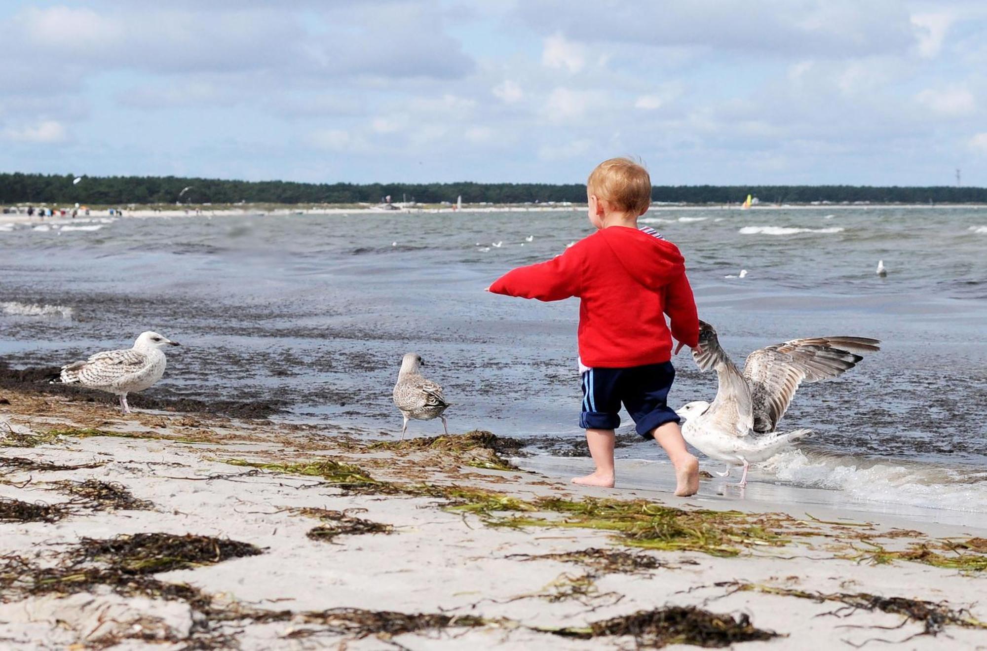 Strand Zingst Luaran gambar